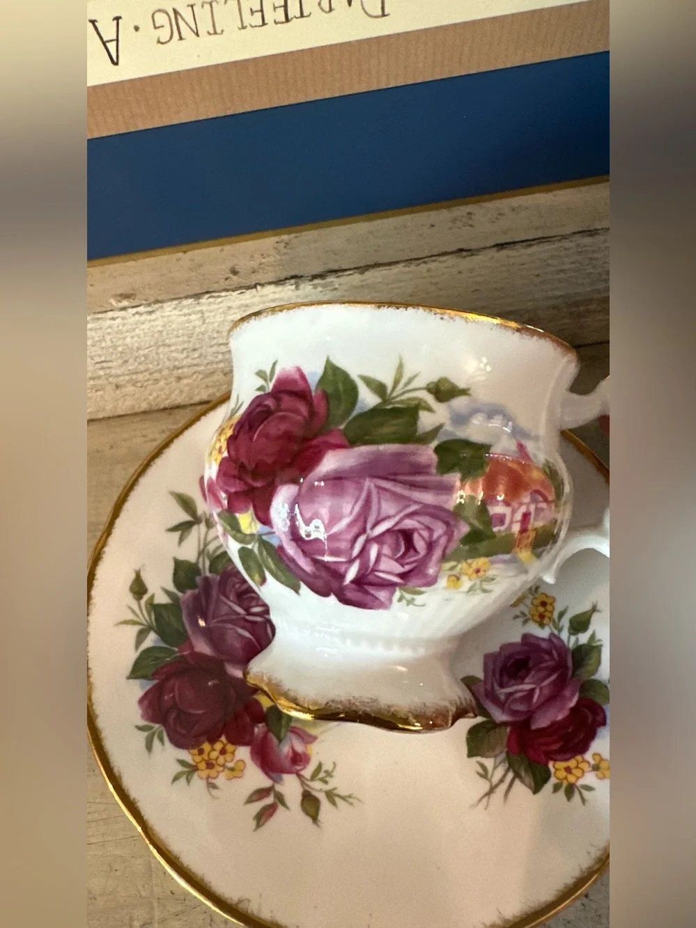 Elizabethan fine bone china tea cup with deep pink rose & old English village